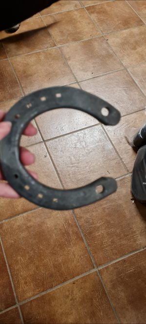 Varför använder hästar hästskor?