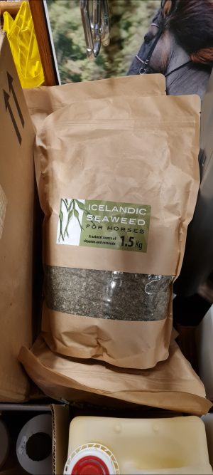 Islandic seaweed för hästar är det nyttigt?