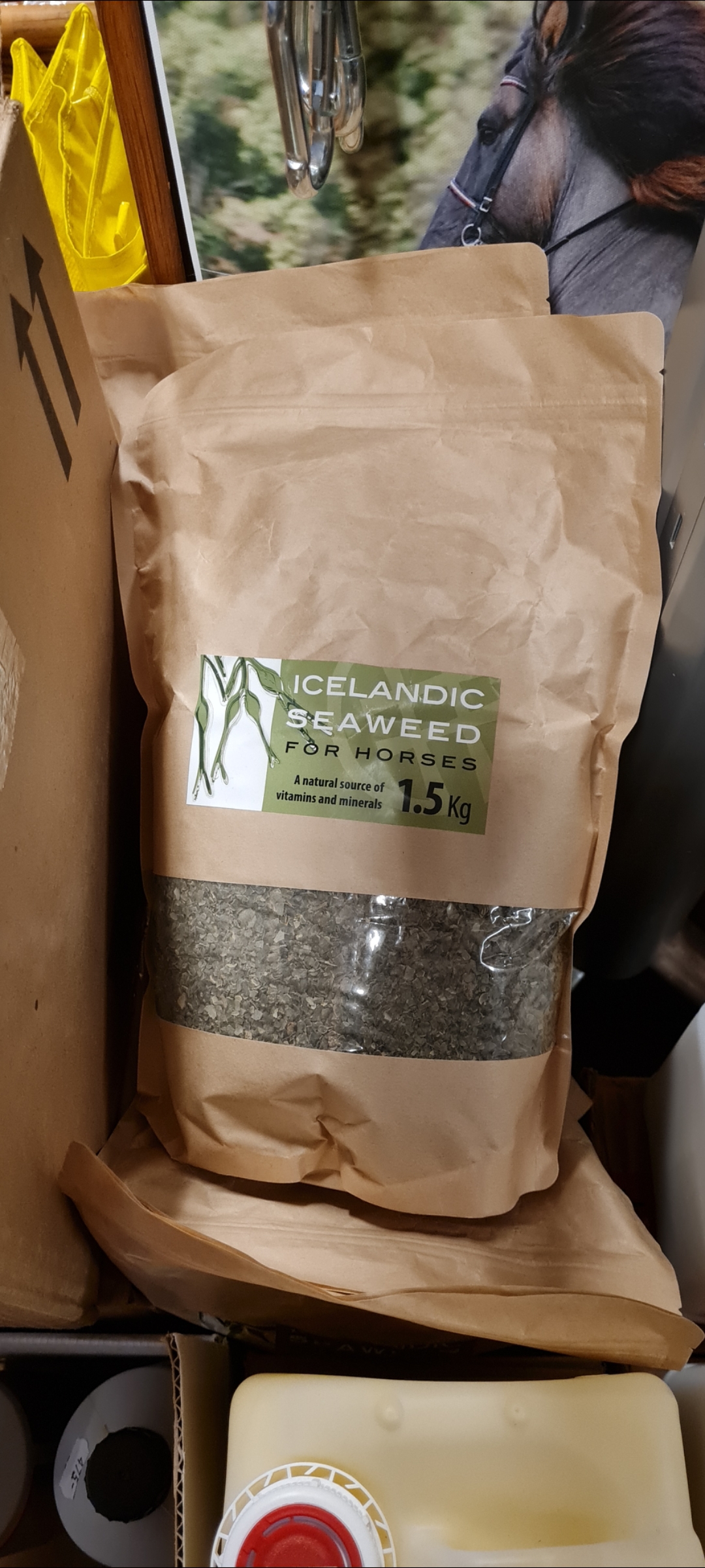 Islandic seaweed för hästar är det nyttigt?